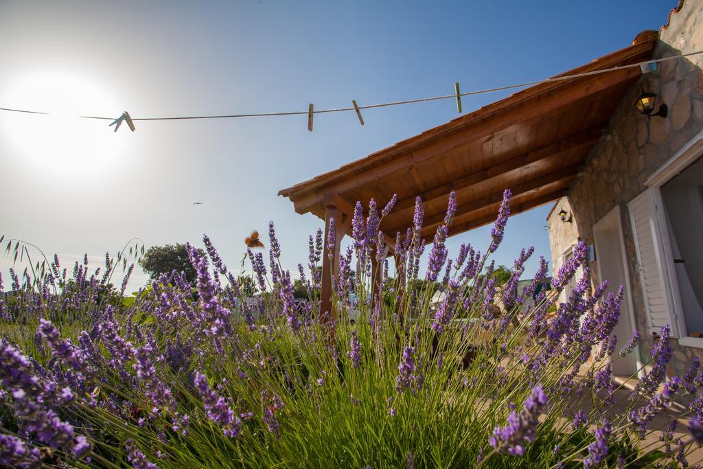 Krcina Holiday Home Cres Εξωτερικό φωτογραφία